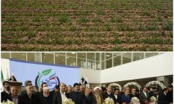 شهرک کفش یا شهرک سرطان؟/وقتی امضای طلایی سلامت مردم را گروگان می‌گیرد