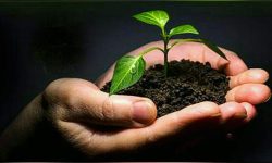 گفتگوی خانوادگی راهکاری برای جلوگیری از اعتیاد + اینفوگرافی