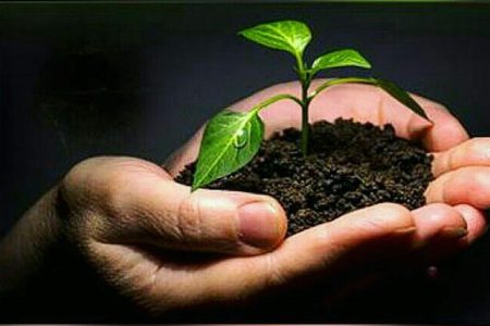گفتگوی خانوادگی راهکاری برای جلوگیری از اعتیاد + اینفوگرافی
