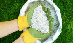 گردهمایی بزرگ تولیدکنندگان برتر کودهای کشاورزی در قم برگزار می‌شود