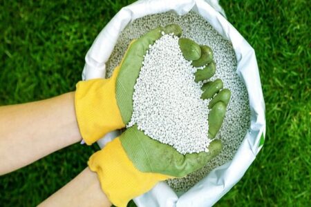 گردهمایی بزرگ تولیدکنندگان برتر کودهای کشاورزی در قم برگزار می‌شود