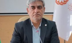 شیرخوارگاه قم با واگذاری ۵۲ کودک به خانواده‌های متقاضی خالی شد