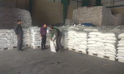 شرکت خدمات حمایتی کشاورزی قم برای تأمین کود کشت‌های پاییزه اعلام آمادگی کرد